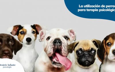 La utilización de animales y perros para terapia psicológica