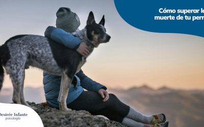 Cómo superar la muerte de tu perro: el apoyo psicológico que necesitas