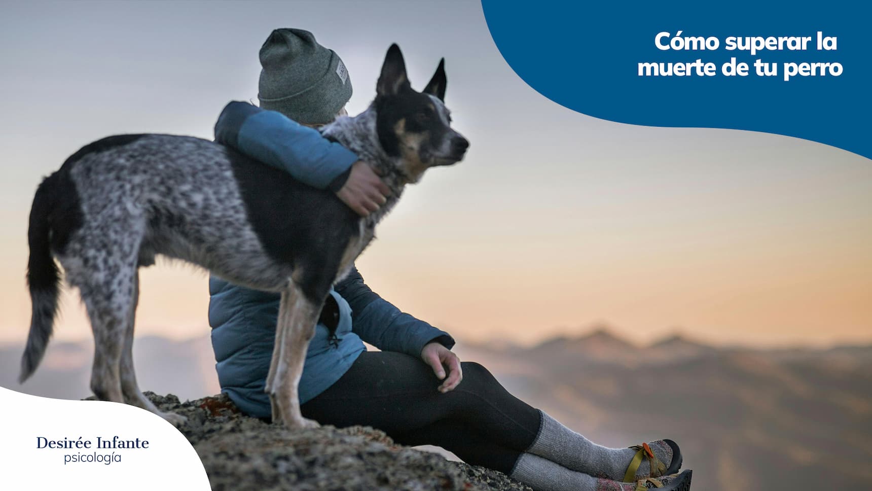 Cómo superar la muerte de tu perro