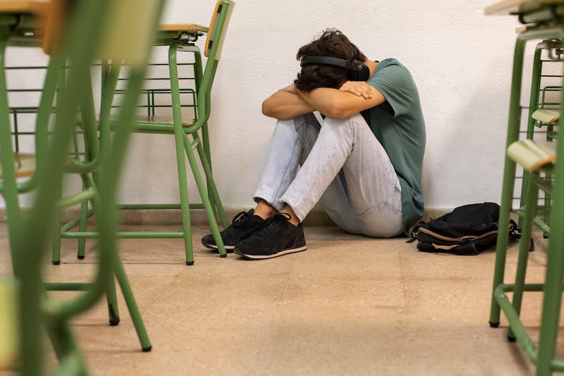 Perfil del bullying